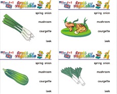 Holzcomputer fruit-vegetable 16.pdf